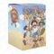 Blind Box One Piece