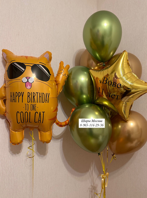 Крутой кот с воздушными шарами ( любая надпись на звезде в подарок )