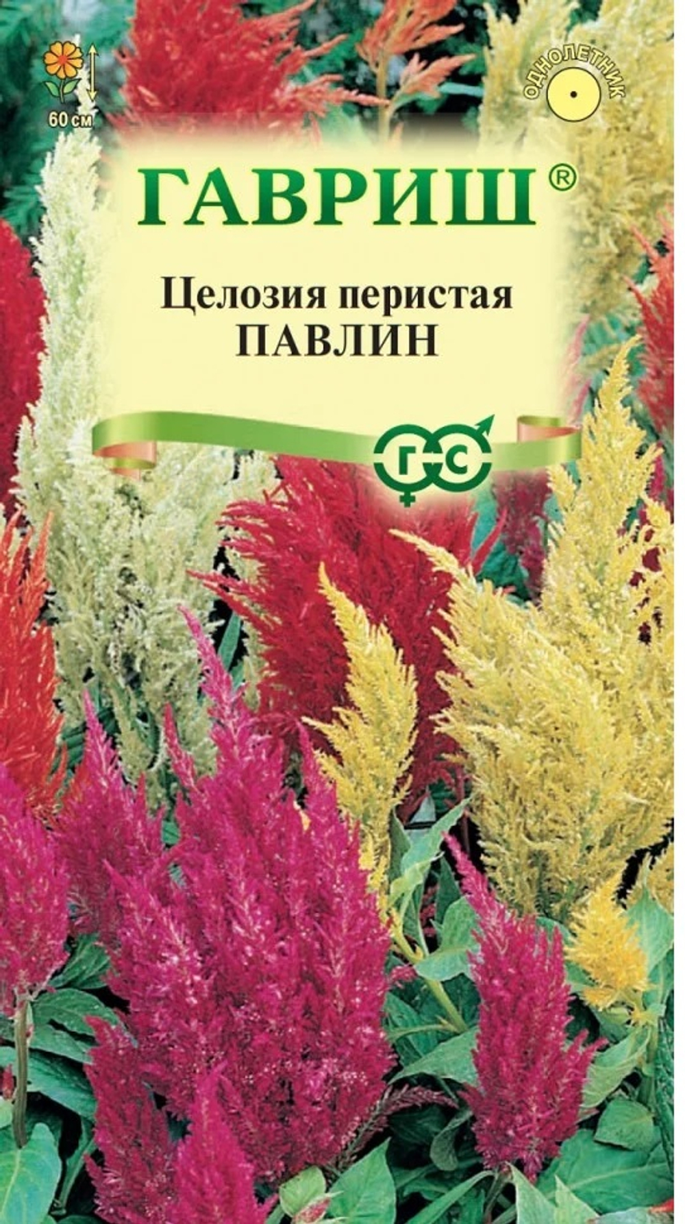 f43cebc2-ae18-11ef-8139-00155d0c3621
