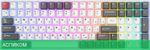 Клавиатура Royal Kludge RK100 Red switch/Grey/Red/White