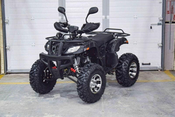 Квадроцикл GRIZZLY 200