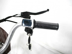 Электровелосипед Green Camel Трайк-B (R24 500W 48V 20Ah) задний привод