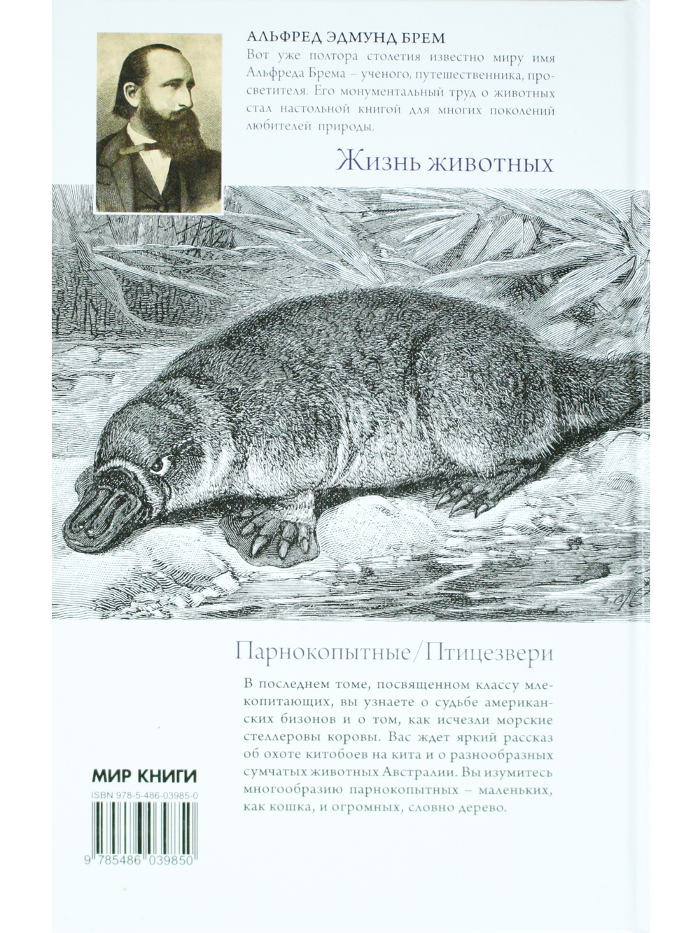 Жизнь животных. Млекопитающие