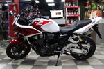 Honda CB1300 boldor SC62-1001237
