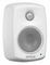 Genelec 4010AW