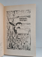 Смотреть и слушать лилии