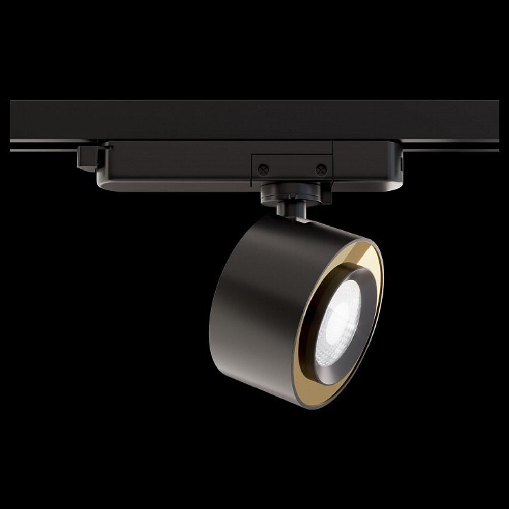 Трековый светильник Maytoni Technical TR023-1-12B3K