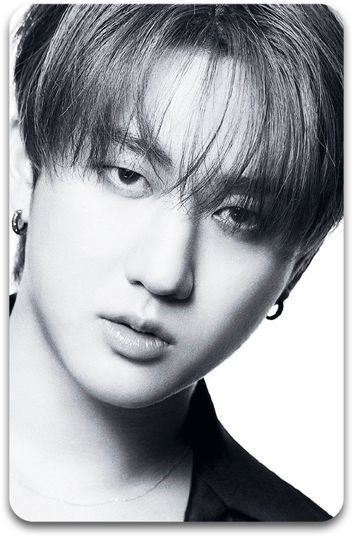 Карта / STRAY KIDS #1775