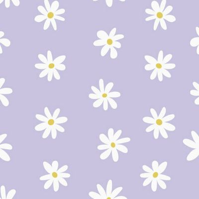 Ромашки на лавандовом фоне