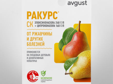 Ракурс 10мл Август