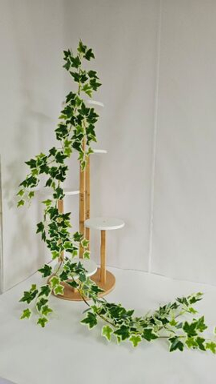 Плющ лиана / Арт 4386