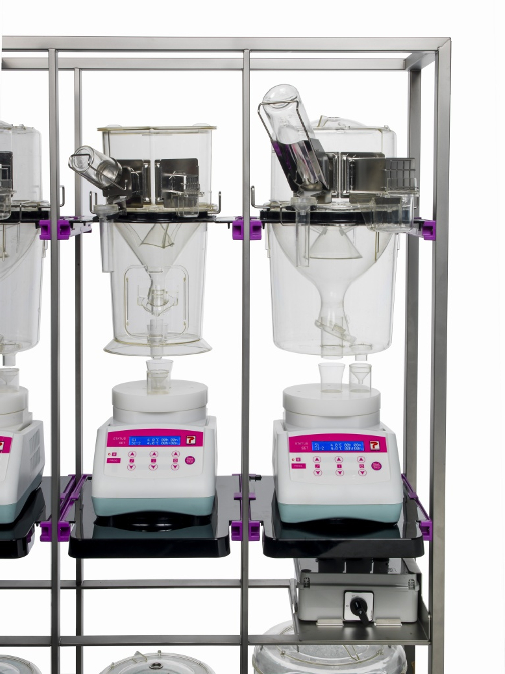 Метаболические клетки