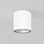 Уличный потолочный светильник Outdoor O310CL-L7W3K