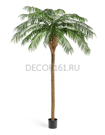 Финиковая пальма де Люкс 240/260 см (сборная) 1/1 10.33007N