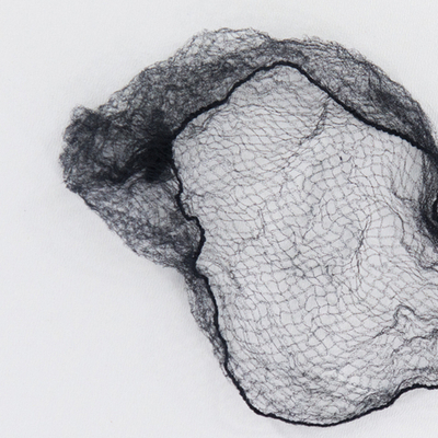 ASS 08-01-02 | Сеточка для укладки волос