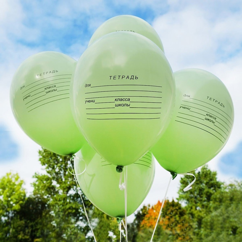 Шар с рисунком 14" Школьная тетрадь