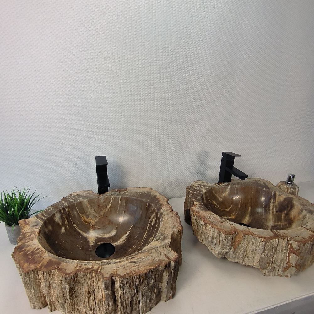Раковина из окаменелого дерева ПАРА! OD-66073 52*45*15 из натурального камня
