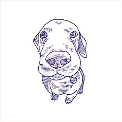 Керамогранит 41zero42 STORIES Eddie 10х10 Матовая (50 вариантов паттерна)