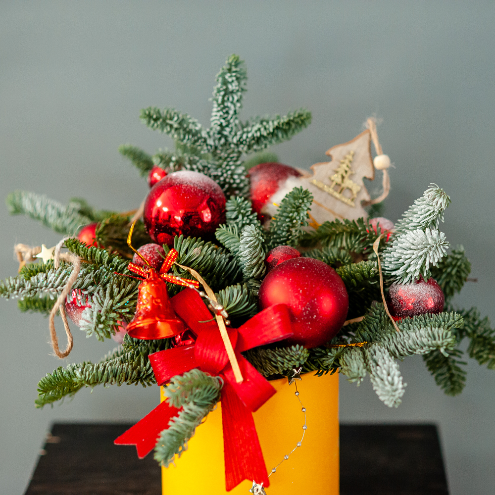 Новогодняя композиция из нобилиса 5