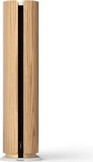 Колонка Bang & Olufsen Beosound Emerge Gold Tone