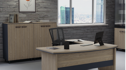 Новинка! Кабинет руководителя Prego