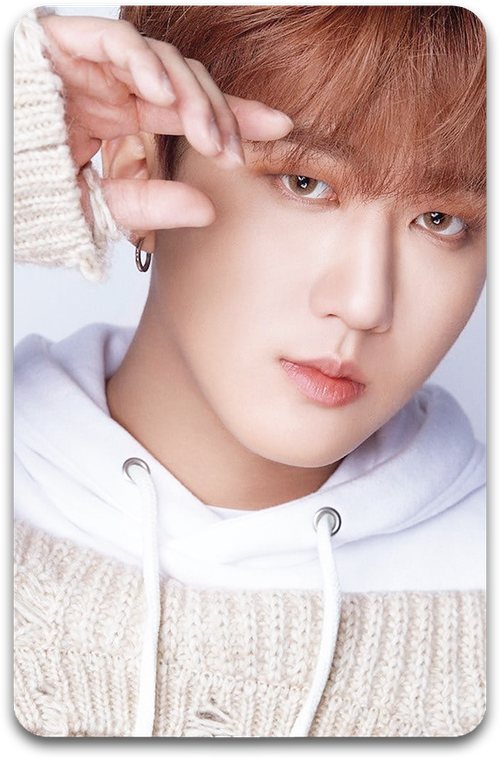 Карта / STRAY KIDS #3170