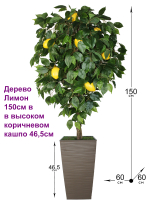 Искусственное дерево Лимон 150 см в высоком коричневом кашпо 46 см