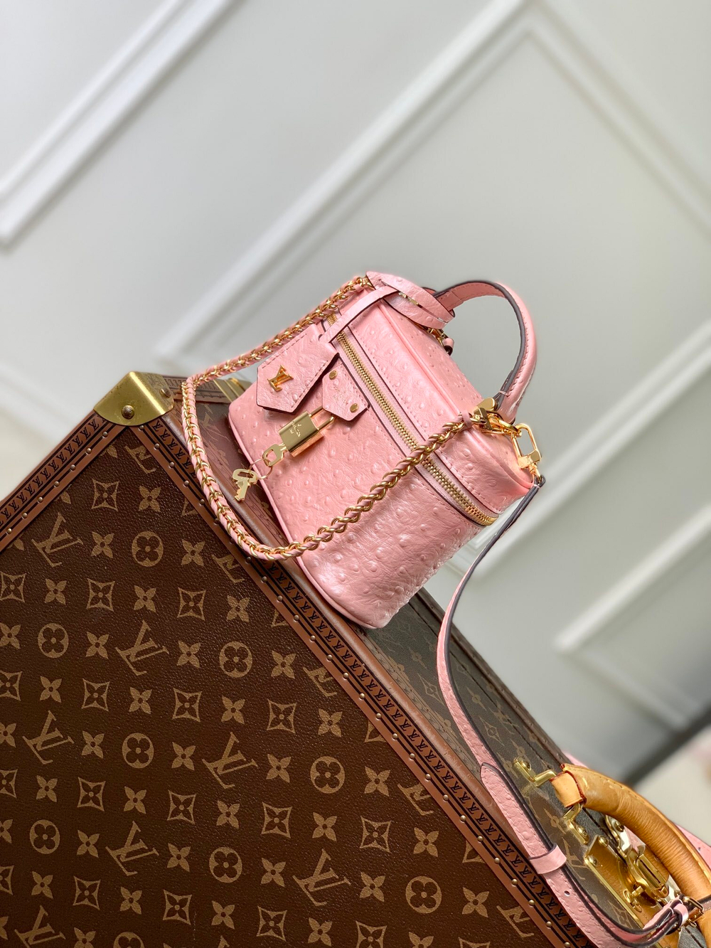 Louis Vuitton Vanity Chain Pouch