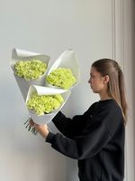 Охапка диантусов в зеленом оттенке 10 шт