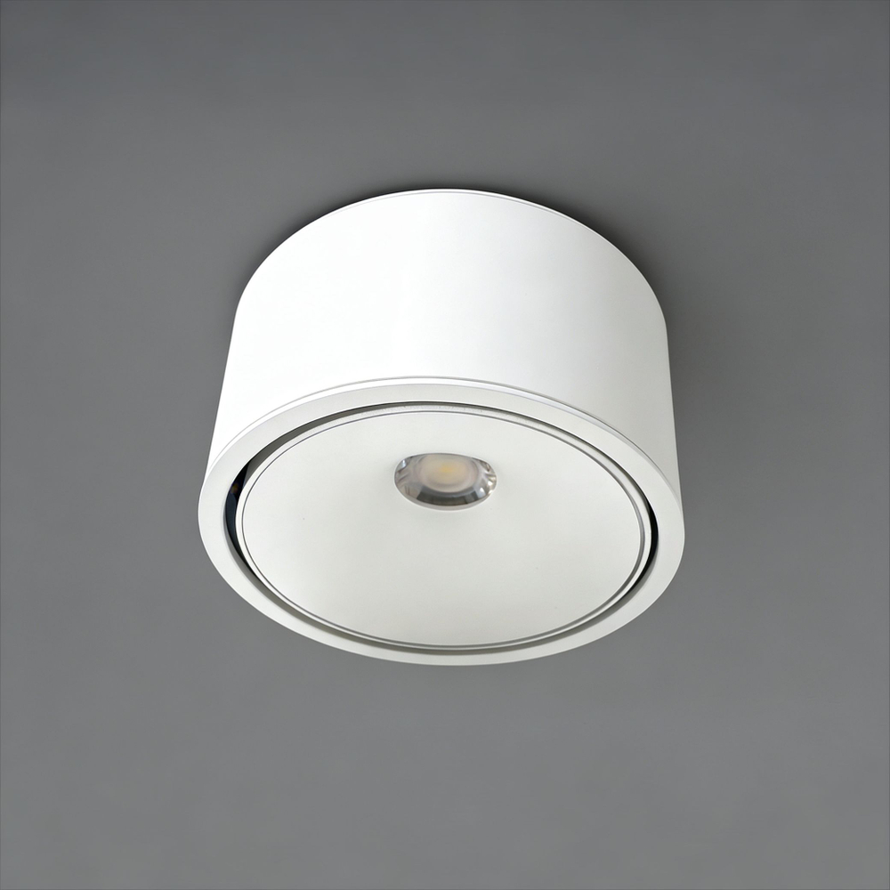 Светильник точечный накладной Wertmark Technical Altair WTA.O06.007.40.12