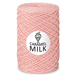 Шнур Caramel Milk, 3мм, 300м, 100% полиэфир (1 шт.)