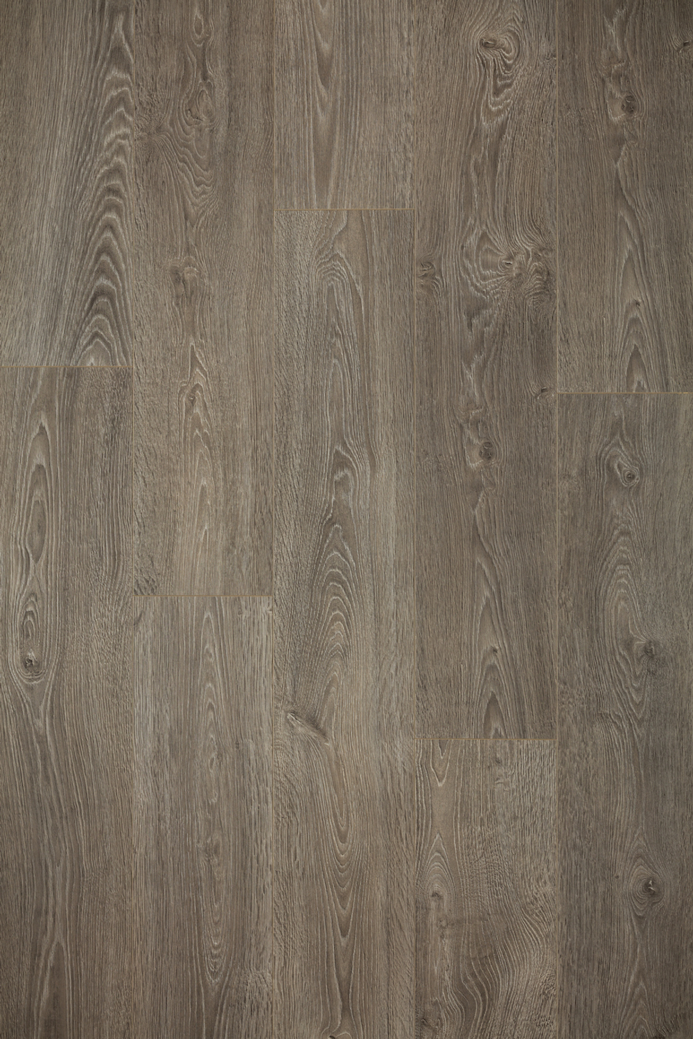 Ламинат Locfloor Fancy 8 мм LFR134 ДУБ ЕВРОПЕЙСКИЙ 2.156 м2