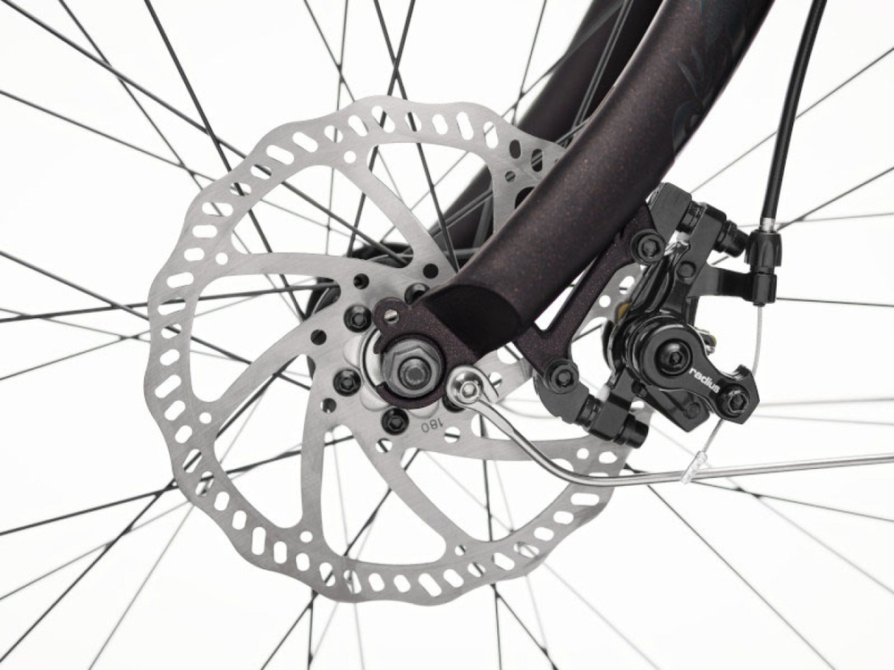 Электровелосипед Electra Cruiser Go! Step Over EQ (2024)