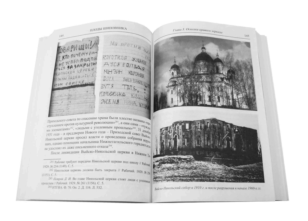 Плоды шиповника (документальное исследование)