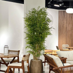 5.23. Искусственные растения в кашпо для мебельного салона.