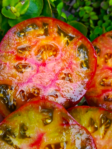 Блаженство сорт томата