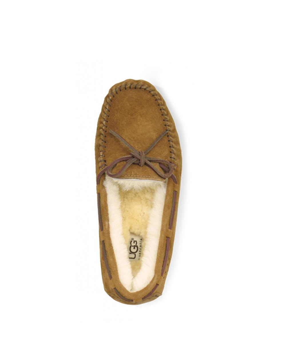 DACOTA-chestnut