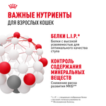 Royal Canin Indoor Sterilized Индор стерилайзд Корм влажный для стерилизованных кошек живущих в помещении соус 85г