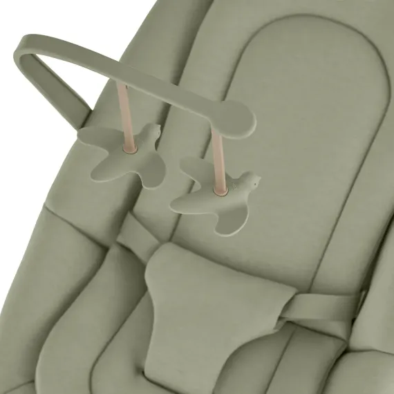 Стульчик для кормления ANEX OZY june