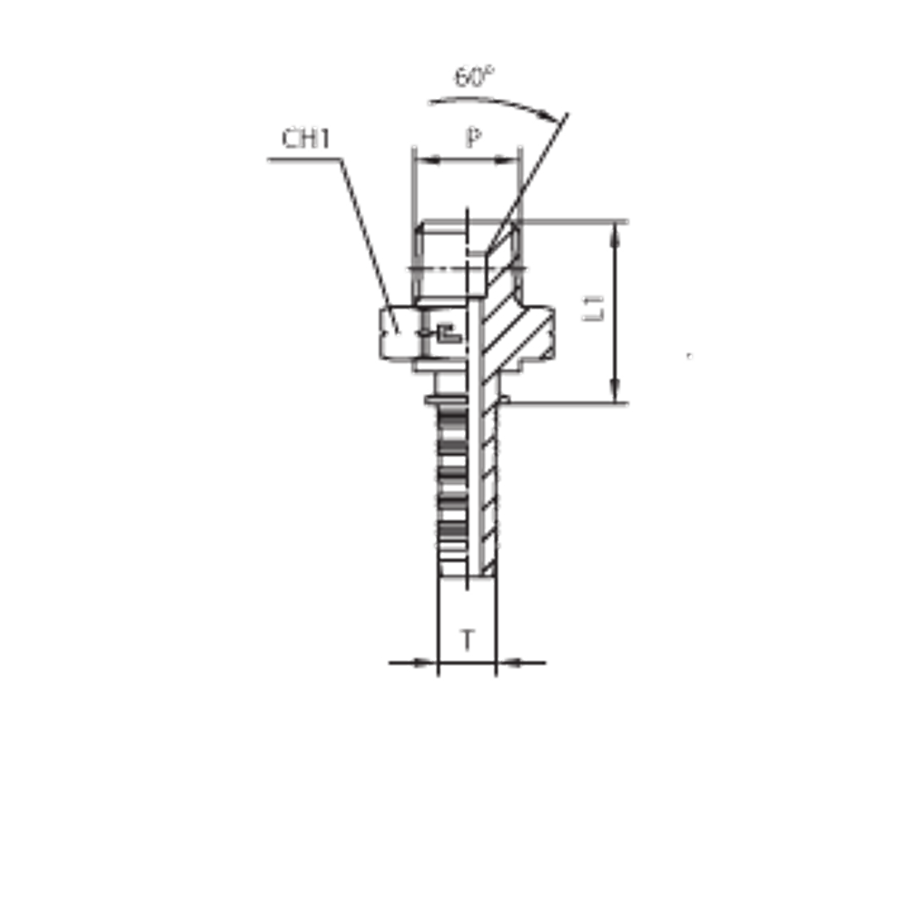 Фитинг DN 20 NPTF 1