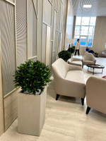 6.23. Искусственные деревья в кашпо для строительной компании "AVA Group"