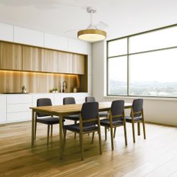 8753 Люстра потолочная-вентилятор ALASKA