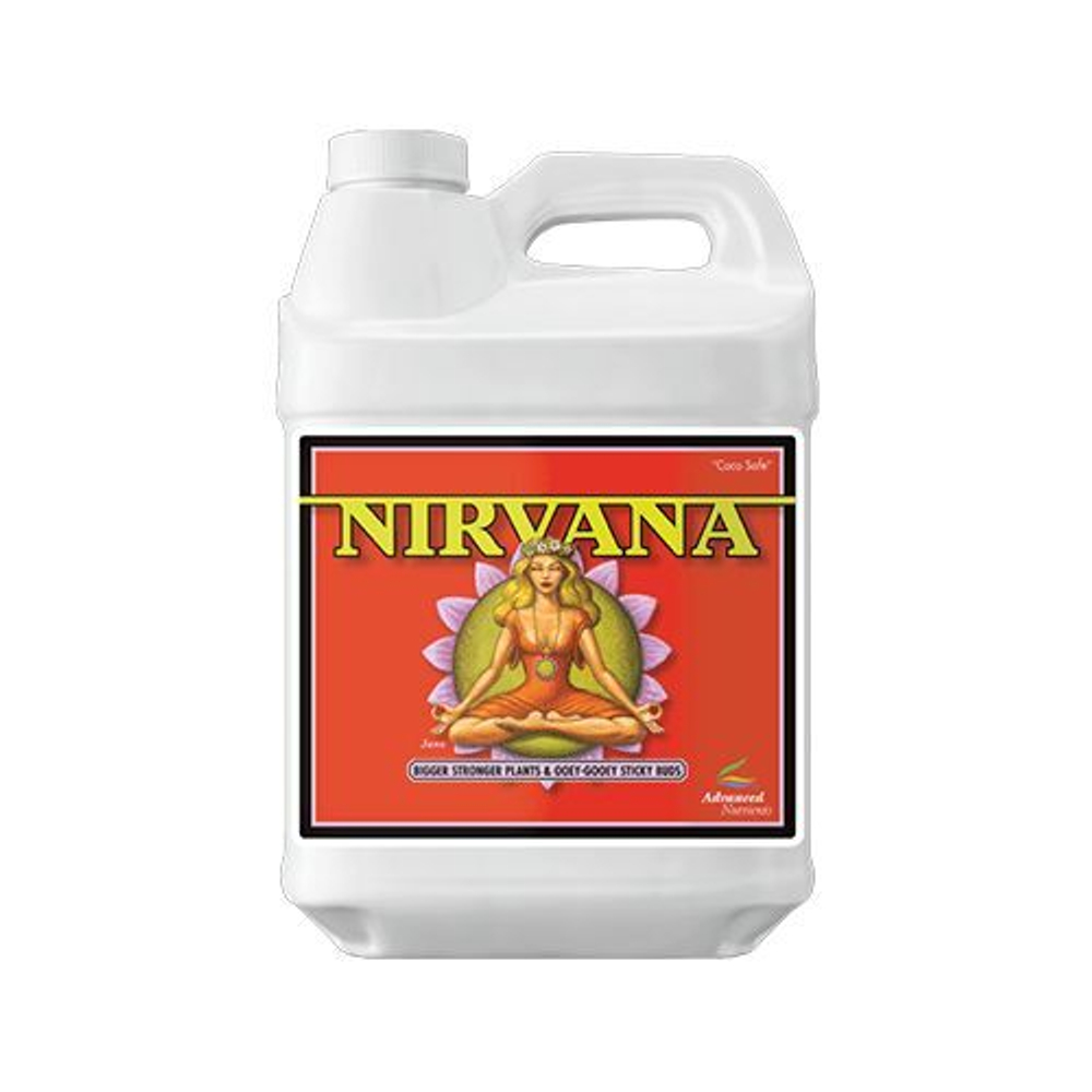 Nirvana