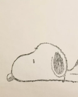 ZARA HOME НАВОЛОЧКА С ПРИНТОМ "CHILDREN'S PEANUTS™", РАЗНОЦВЕТНЫЙ