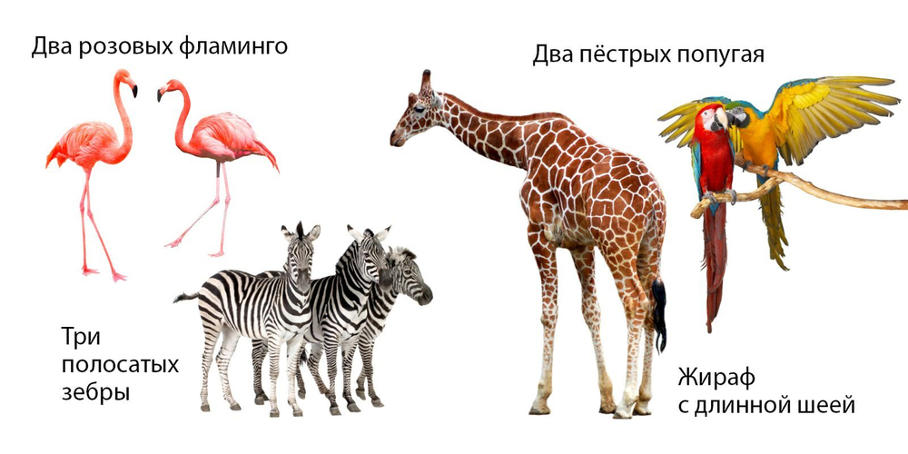 Зоопарк