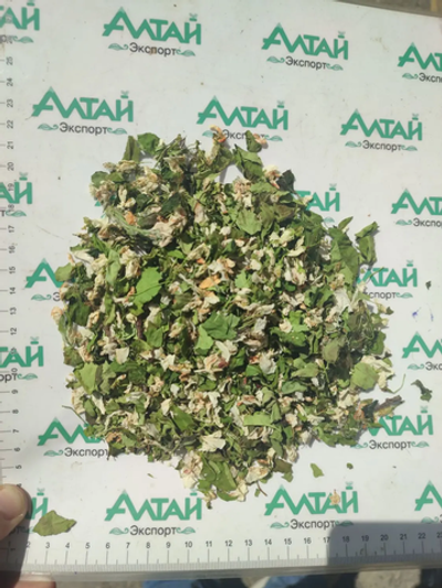 Яблоня цвет с листом Алтай(мешок 11-12кг)