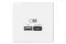Розетка USB Systeme Electric ARTGALLERY тип А+C белая 39389