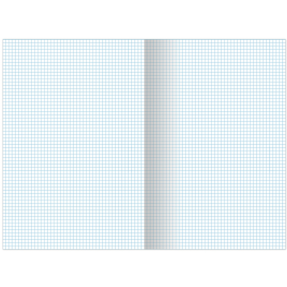 Тетрадь общая BRAUBERG "Contract", А4, 96 листов в клетку, на скрепке