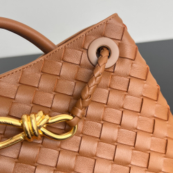 Bottega Veneta Small Andiamo 25 cm