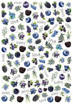 Слайдер-дизайн Crazy Shine Nails: Синие ягоды